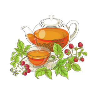 Illustration einer Teekanne und Tasse Himbeerblättertee mit Himbeerzweigen